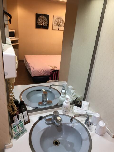 HOTEL アムール(台東区/ラブホテル)の写真『202号室　洗面所』by みこすりはん
