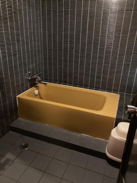 キャメルイン(立川市/ラブホテル)の写真『315号室バスルーム　浴槽は思ったよりも深いです。洗い場は広め』by ワーカー