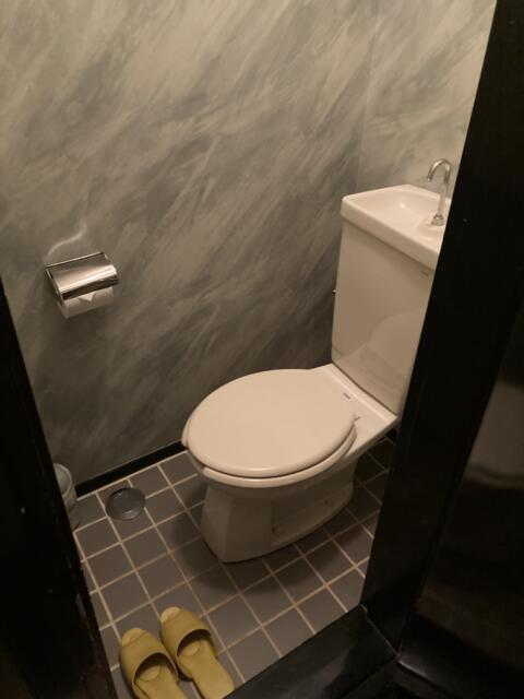 キャメルイン(立川市/ラブホテル)の写真『315号室トイレ　ウォシュレットではありませんでした』by ワーカー