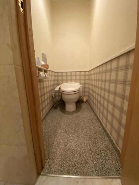 HOTEL STELLATE(ステラート)(新宿区/ラブホテル)の写真『202号室、トイレ、奥に少し長いです。』by トマトなす