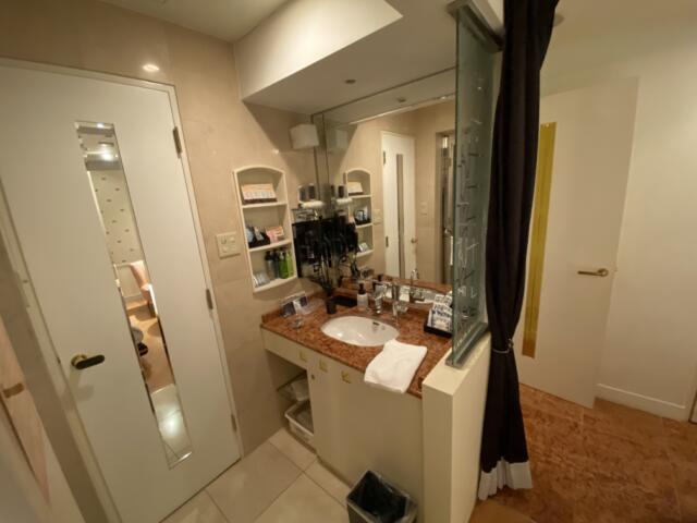 HOTEL STELLATE(ステラート)(新宿区/ラブホテル)の写真『502号室、洗面所　左のドアはトイレ』by トマトなす