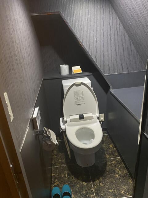 HOTEL EMERALD（エメラルド）(品川区/ラブホテル)の写真『602号室　トイレ』by たんげ8008