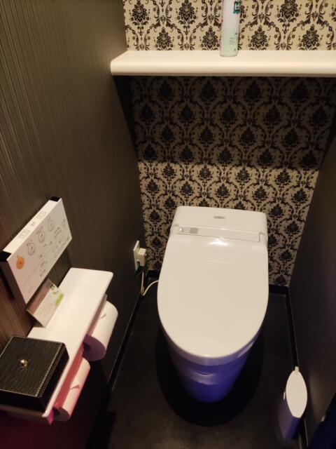 SARA 川越(川越市/ラブホテル)の写真『406号室 トイレ』by じんだいじ