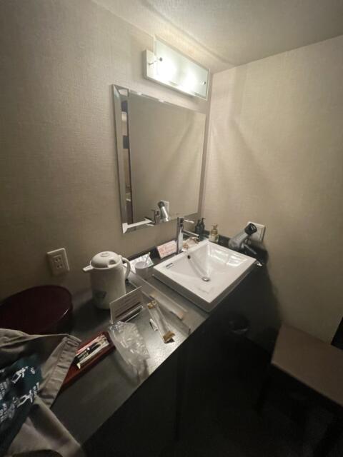 HOTEL Casa Swan（カーサスワン）(大阪市/ラブホテル)の写真『102号室、洗面所』by ジャーミン