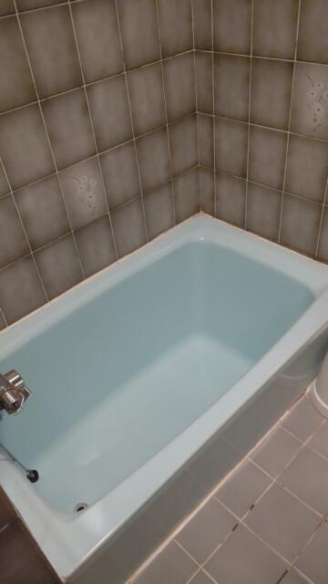 ホテル エル(荒川区/ラブホテル)の写真『301号室、浴槽』by Sparkle