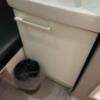 Re-Zan～リザン～(港区/ラブホテル)の写真『16号室洗面台の下にゴミ箱』by ゆうじい