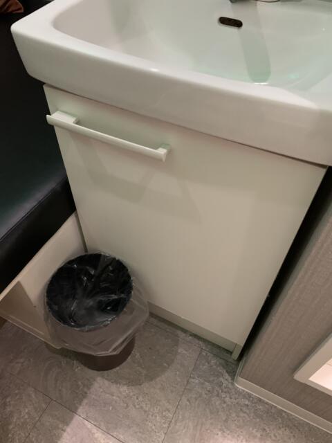 Re-Zan～リザン～(港区/ラブホテル)の写真『16号室洗面台の下にゴミ箱』by ゆうじい
