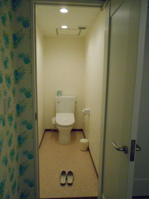 ホテルシティ(立川市/ラブホテル)の写真『201号室、トイレ』by もんが～