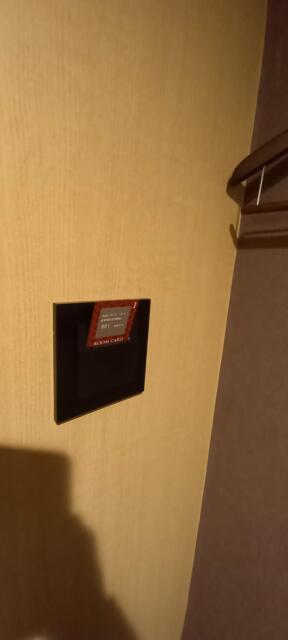 HOTEL OPERA (オペラ)(新宿区/ラブホテル)の写真『601号室　カードキーを差し込んで点灯。』by angler