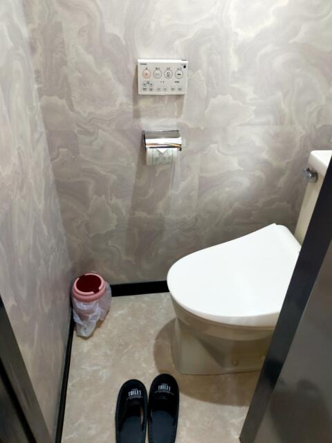 ホテル・アイ(長野市/ラブホテル)の写真『103号室、トイレ』by kitami