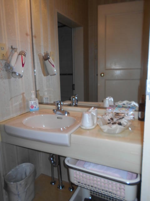ホテル エルミタージュ(長崎市/ラブホテル)の写真『501号室の洗面台。備品はラブホテルとしても完備している。』by 猫饅頭