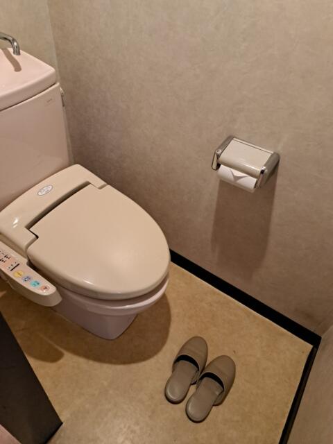ホテル ムーンパティオ(豊島区/ラブホテル)の写真『760号室　トイレ』by 性欲全開