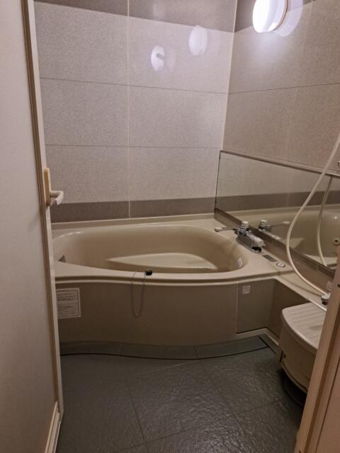 ホテル ムーンパティオ(豊島区/ラブホテル)の写真『３５６号室　浴室』by 性欲全開