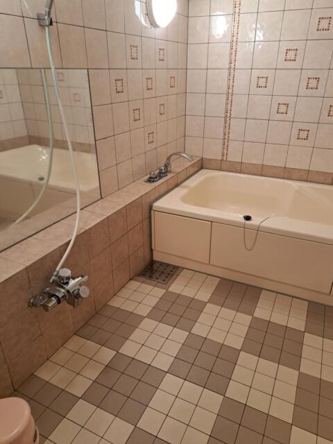 ホテル ムーンパティオ(豊島区/ラブホテル)の写真『９６０号室　浴室』by 性欲全開