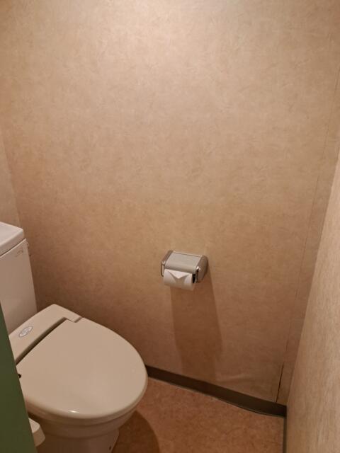 ホテル ムーンパティオ(豊島区/ラブホテル)の写真『４６０号室　トイレ』by 性欲全開