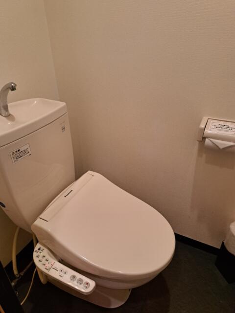 HOTEL Amethyst（アメジスト）(豊島区/ラブホテル)の写真『５０２号室　トイレ』by 性欲全開
