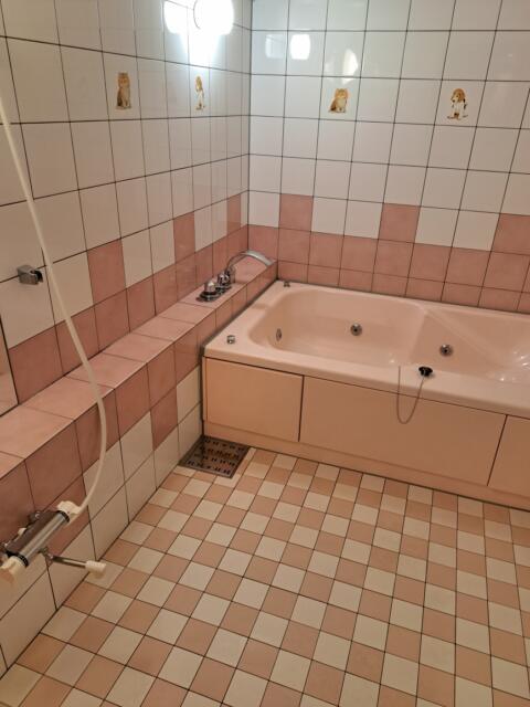 ホテル ムーンパティオ(豊島区/ラブホテル)の写真『361号室　浴室』by 性欲全開
