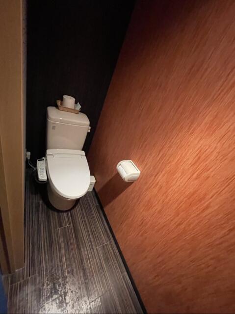 ホテルタイムゾーン(倉敷市/ラブホテル)の写真『310号室　トイレ』by しょうぴい
