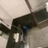HOTEL VICTORIA RESORT(茅ヶ崎市/ラブホテル)の写真『206号室、内風呂洗い場です。(23,10)』by キジ