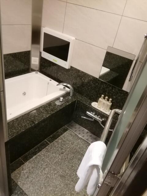 HOTEL VICTORIA RESORT(茅ヶ崎市/ラブホテル)の写真『206号室、内風呂です。(23,10)』by キジ