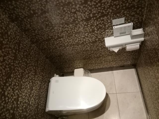 HOTEL VICTORIA RESORT(茅ヶ崎市/ラブホテル)の写真『206号室、トイレです。(23,10)』by キジ