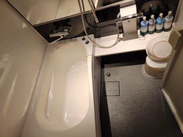 HOTEL SARD（サード）(豊島区/ラブホテル)の写真『301号室、浴室』by イシバシ