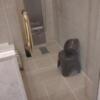 HOTEL　D(名古屋市北区/ラブホテル)の写真『206号室  浴室洗い場』by Sparkle