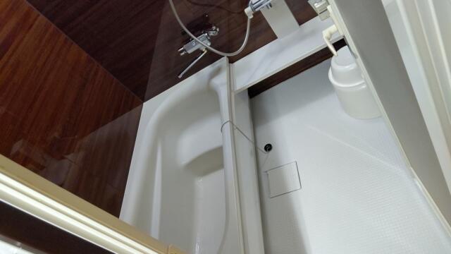 ニューポート(立川市/ラブホテル)の写真『301号室、浴室です。(23,10)』by キジ