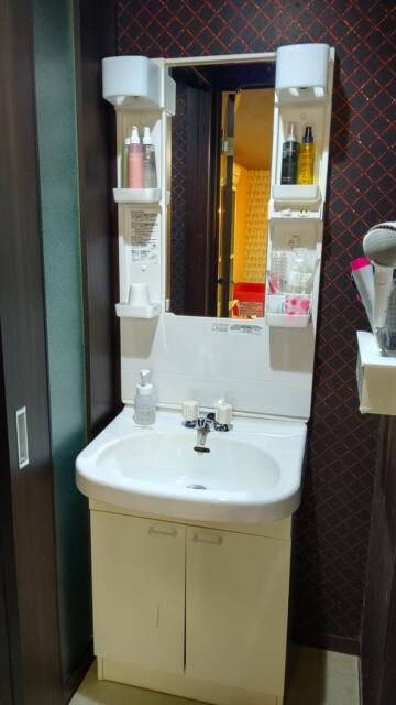 ニューポート(立川市/ラブホテル)の写真『301号室、洗面所です。(23,10)』by キジ