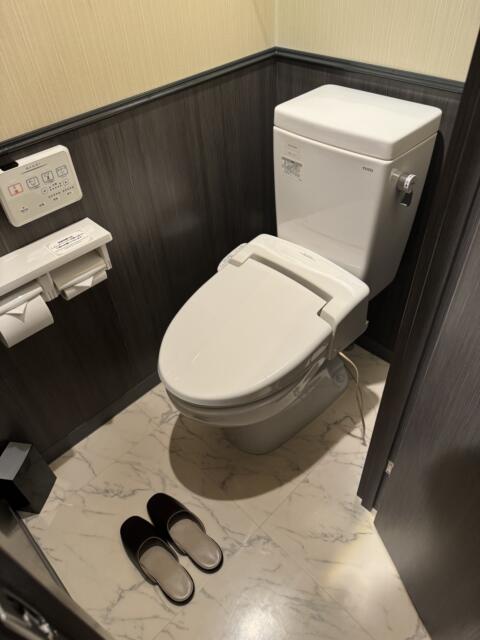 HOTEL GARNET（ガーネット)(千葉市中央区/ラブホテル)の写真『601号室　お手洗い』by ニーソ