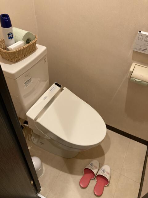 サンモリッツテラ(台東区/ラブホテル)の写真『232号室トイレ』by ワーカー