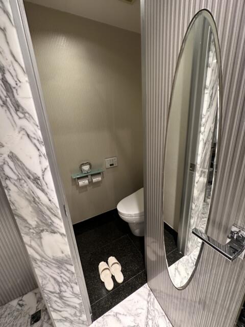 ホテル FORSION(フォーション)(新宿区/ラブホテル)の写真『202号室 トイレ』by 春メン