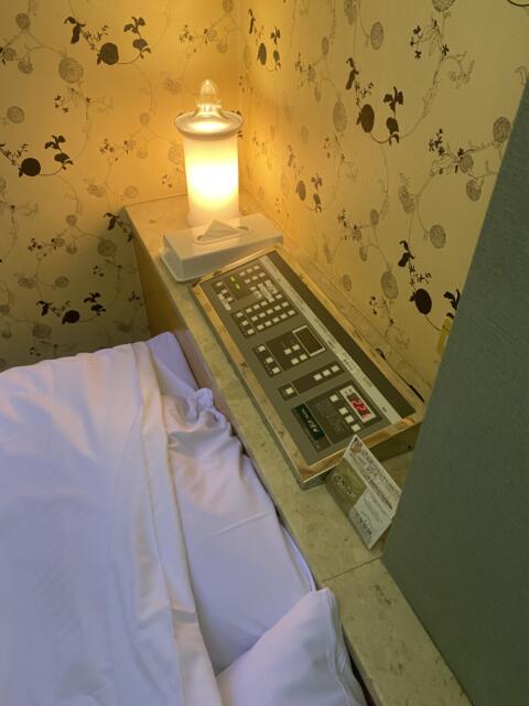 HOTEL VIEW(所沢市/ラブホテル)の写真『226号室(ベッド傍照明スイッチ)』by こねほ
