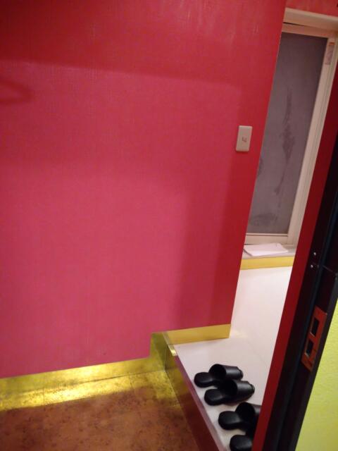 AUGUSTA DUO(アウグスタ デュオ)(台東区/ラブホテル)の写真『31号室 玄関のドアを開けてすぐの景色』by なめろう