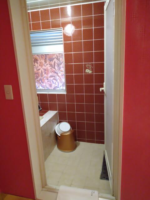 AUGUSTA DUO(アウグスタ デュオ)(台東区/ラブホテル)の写真『31号室 バスルーム』by なめろう