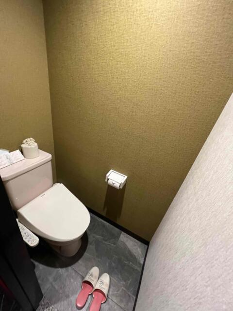 HOTEL Diana (ダイアナ)(台東区/ラブホテル)の写真『433号室　トイレ』by 体系がたこ焼き