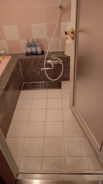 インパル21(小山市/ラブホテル)の写真『401号室、浴室洗い場』by Sparkle