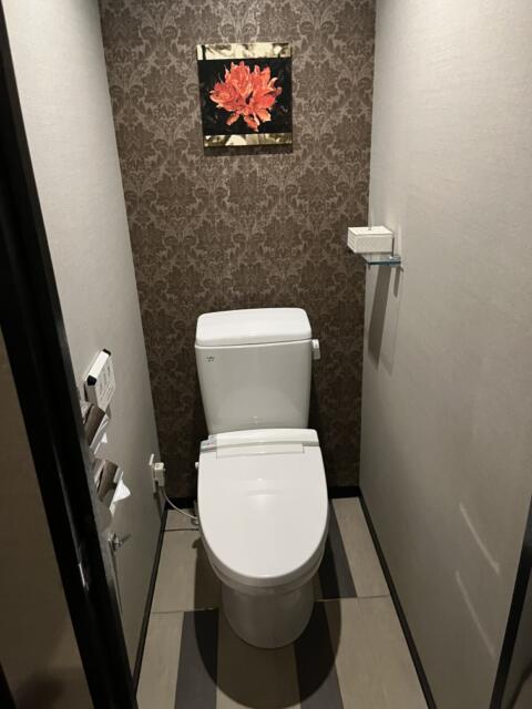 HOTEL TSUBAKI 錦糸町(墨田区/ラブホテル)の写真『402号室 トイレ』by Infield fly