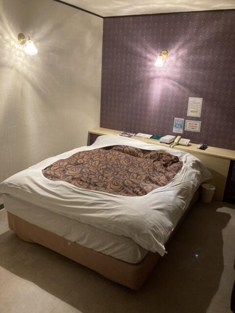 ニューポート(立川市/ラブホテル)の写真『105号室　ベッド』by ワーカー