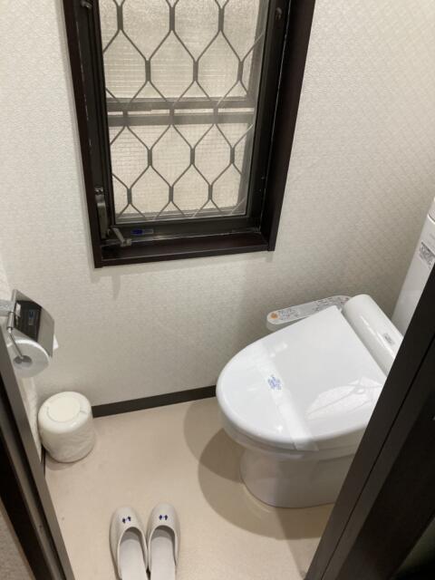 ニューポート(立川市/ラブホテル)の写真『105号室　トイレ』by ワーカー