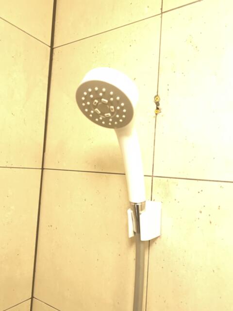 HOTEL ALLURE～アリュール～(船橋市/ラブホテル)の写真『308号室(浴室シャワーヘッド)』by こねほ
