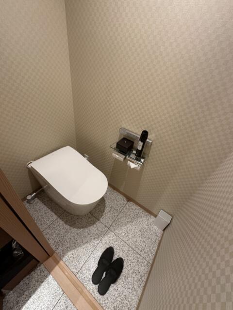 HOTEL P’s resort(豊島区/ラブホテル)の写真『703号室のトイレ』by miffy.GTI
