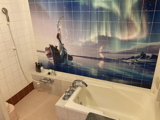エムワンステージ 土浦店(土浦市/ラブホテル)の写真『203号室　浴槽＆シャワー』by リダンナ