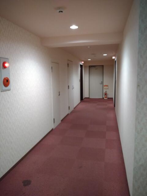 ホテル パルティノン(川崎市川崎区/ラブホテル)の写真『３階の廊下』by なめろう