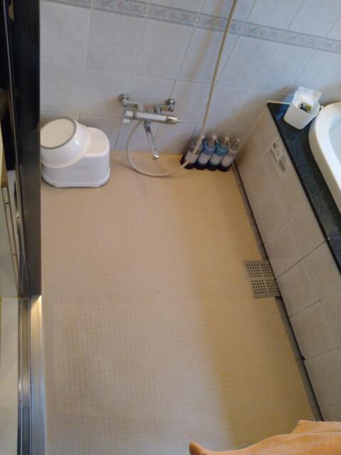 ホテル パルティノン(川崎市川崎区/ラブホテル)の写真『305号室 バスルーム、洗い場』by なめろう