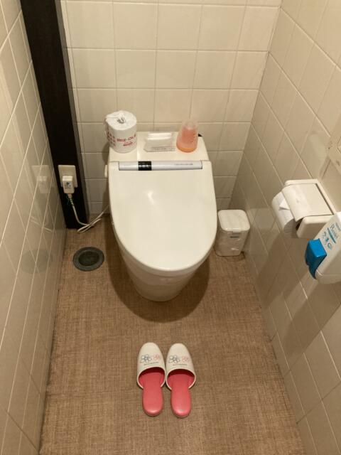 HOTEL  YAYAYA弐番館(台東区/ラブホテル)の写真『202号室　トイレ』by ワーカー