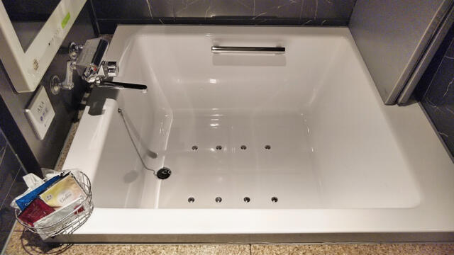 HOTEL GRANSKY（グランスカイ）(墨田区/ラブホテル)の写真『203号室 バスルーム浴槽』by 午前３時のティッシュタイム