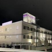 LUXURY HOTEL フェアリー(早島町/ラブホテル)の写真『夜の外観』by しょうぴい