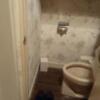 hotel SKY ROAD(豊島区/ラブホテル)の写真『306号室のトイレ、バストイレ別のギリギリ設定されている掃除はされていて汚くはない』by ヒロくん!