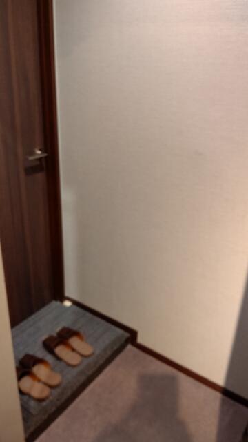 WILL BAY CITY KASAI（ウィルベイシティ葛西店)(江戸川区/ラブホテル)の写真『303号室、玄関です。(23,11)』by キジ